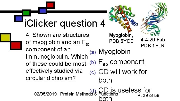 i. Clicker question 4 4. Shown are structures of myoglobin and an Fab component