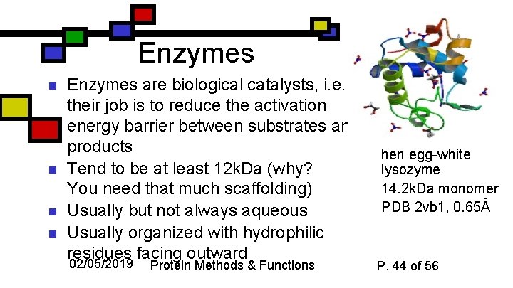 Enzymes n n Enzymes are biological catalysts, i. e. their job is to reduce