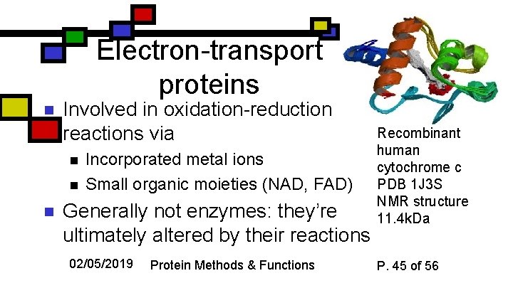 Electron-transport proteins n Involved in oxidation-reduction reactions via n n n Incorporated metal ions