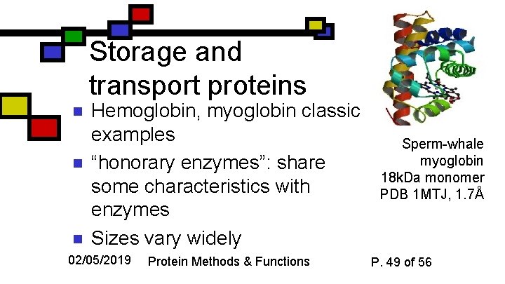 Storage and transport proteins n n n Hemoglobin, myoglobin classic examples “honorary enzymes”: share