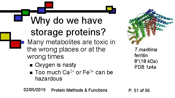 Why do we have storage proteins? n Many metabolites are toxic in the wrong