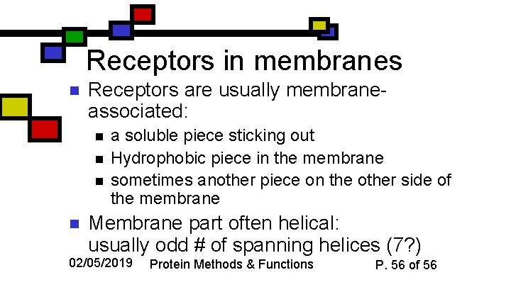 Receptors in membranes n Receptors are usually membraneassociated: n n a soluble piece sticking