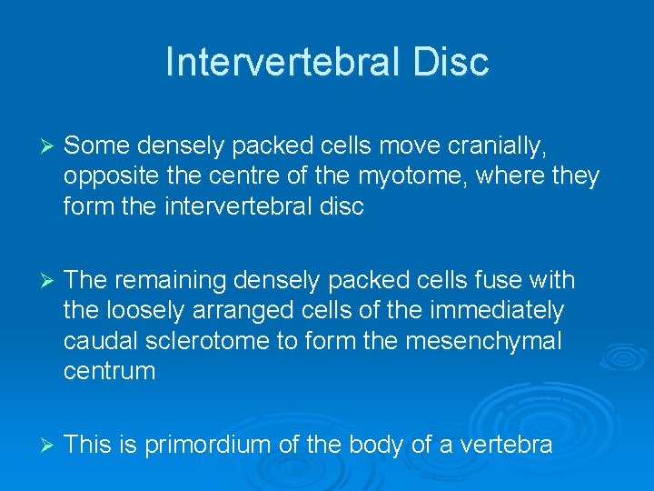 Intervertebral Disc Ø Some densely packed cells move cranially, opposite the centre of the