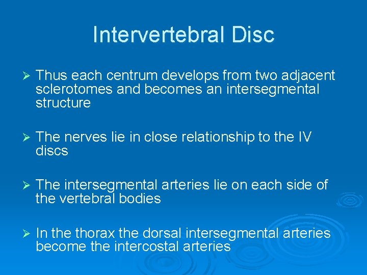 Intervertebral Disc Ø Thus each centrum develops from two adjacent sclerotomes and becomes an