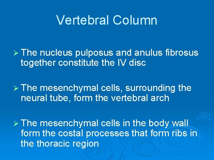 Vertebral Column Ø The nucleus pulposus and anulus fibrosus together constitute the IV disc