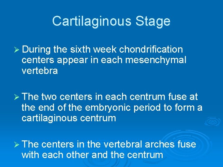 Cartilaginous Stage Ø During the sixth week chondrification centers appear in each mesenchymal vertebra