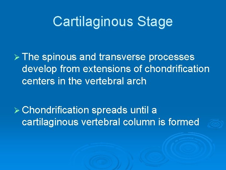 Cartilaginous Stage Ø The spinous and transverse processes develop from extensions of chondrification centers