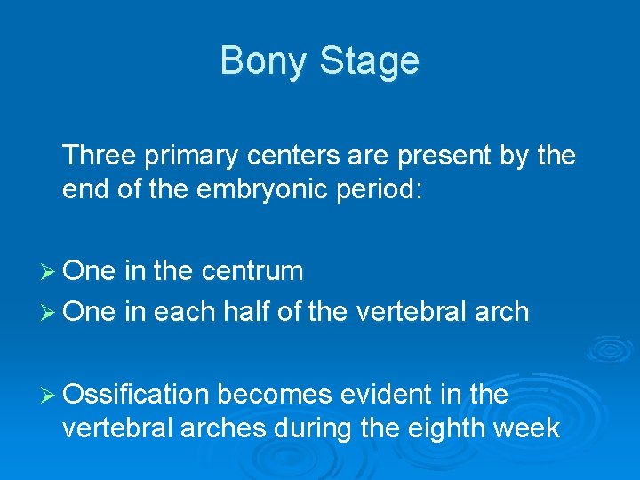 Bony Stage Three primary centers are present by the end of the embryonic period: