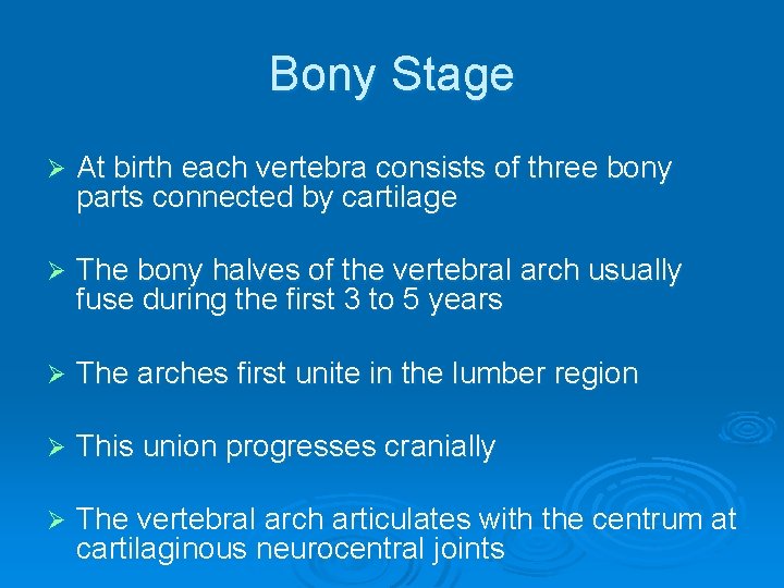 Bony Stage Ø At birth each vertebra consists of three bony parts connected by