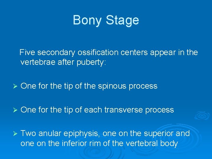 Bony Stage Five secondary ossification centers appear in the vertebrae after puberty: Ø One