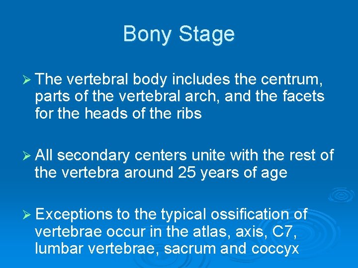 Bony Stage Ø The vertebral body includes the centrum, parts of the vertebral arch,