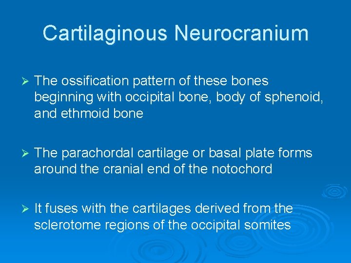 Cartilaginous Neurocranium Ø The ossification pattern of these bones beginning with occipital bone, body