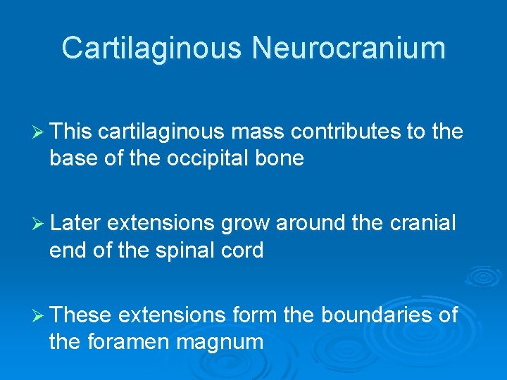 Cartilaginous Neurocranium Ø This cartilaginous mass contributes to the base of the occipital bone