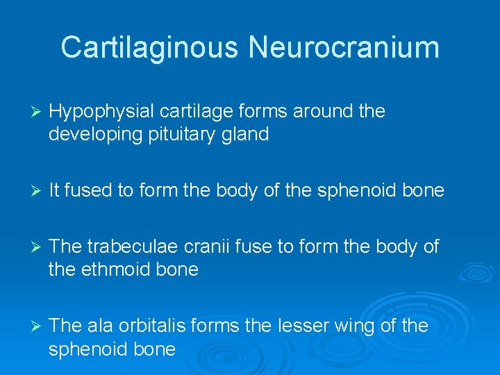 Cartilaginous Neurocranium Ø Hypophysial cartilage forms around the developing pituitary gland Ø It fused