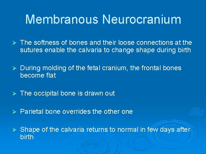 Membranous Neurocranium Ø The softness of bones and their loose connections at the sutures