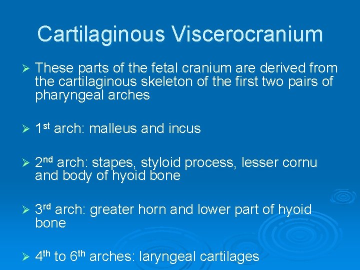 Cartilaginous Viscerocranium Ø These parts of the fetal cranium are derived from the cartilaginous