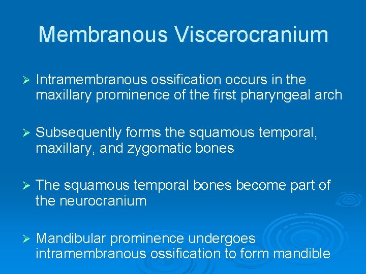 Membranous Viscerocranium Ø Intramembranous ossification occurs in the maxillary prominence of the first pharyngeal
