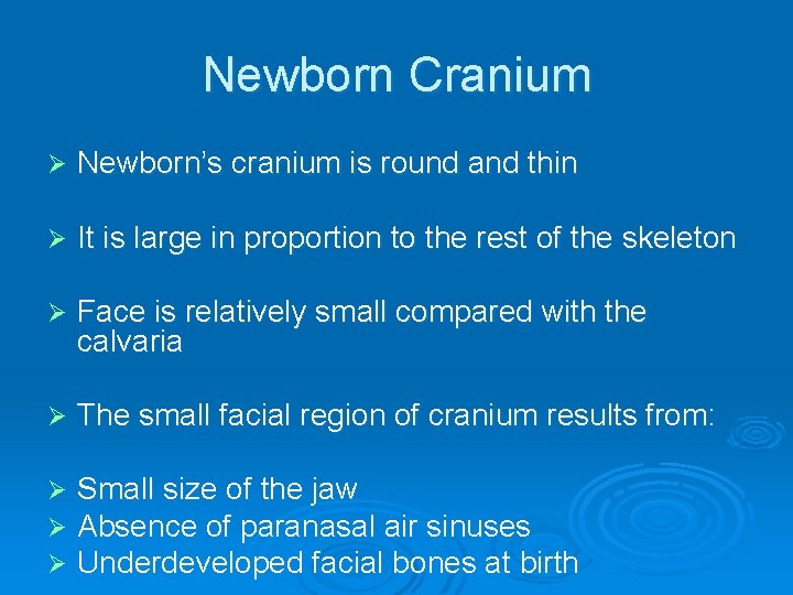 Newborn Cranium Ø Newborn’s cranium is round and thin Ø It is large in