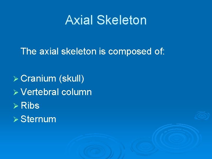 Axial Skeleton The axial skeleton is composed of: Ø Cranium (skull) Ø Vertebral column