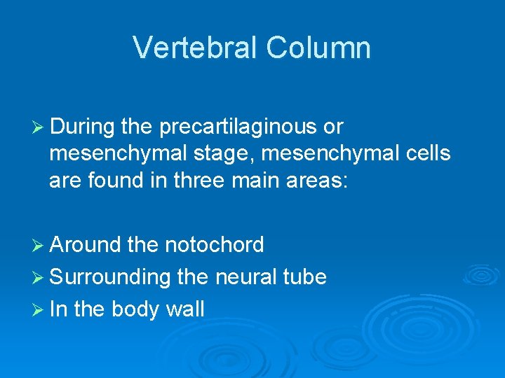 Vertebral Column Ø During the precartilaginous or mesenchymal stage, mesenchymal cells are found in