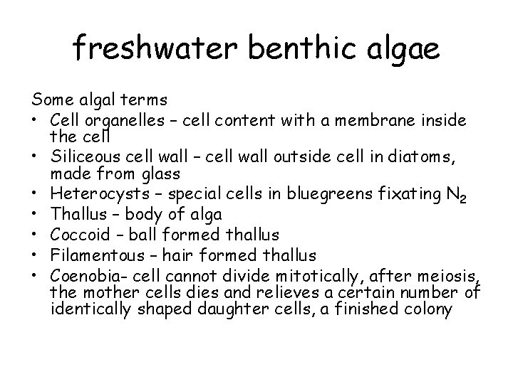 freshwater benthic algae Some algal terms • Cell organelles – cell content with a