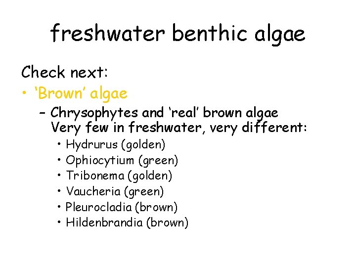 freshwater benthic algae Check next: • ‘Brown’ algae – Chrysophytes and ‘real’ brown algae