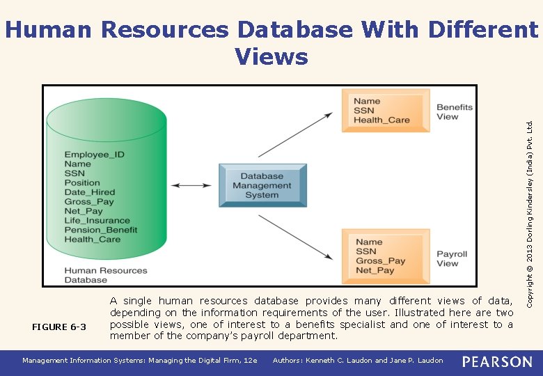 FIGURE 6 -3 A single human resources database provides many different views of data,