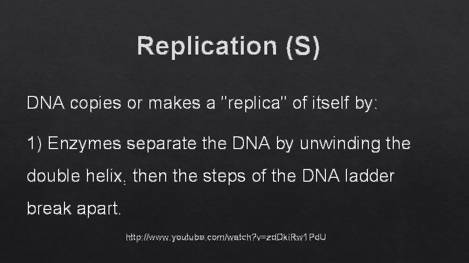 Replication (S) DNA copies or makes a "replica" of itself by: 1) Enzymes separate