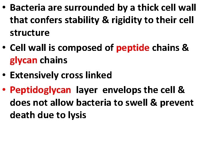  • Bacteria are surrounded by a thick cell wall that confers stability &