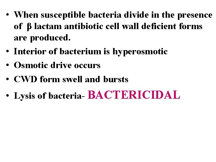  • When susceptible bacteria divide in the presence of β lactam antibiotic cell