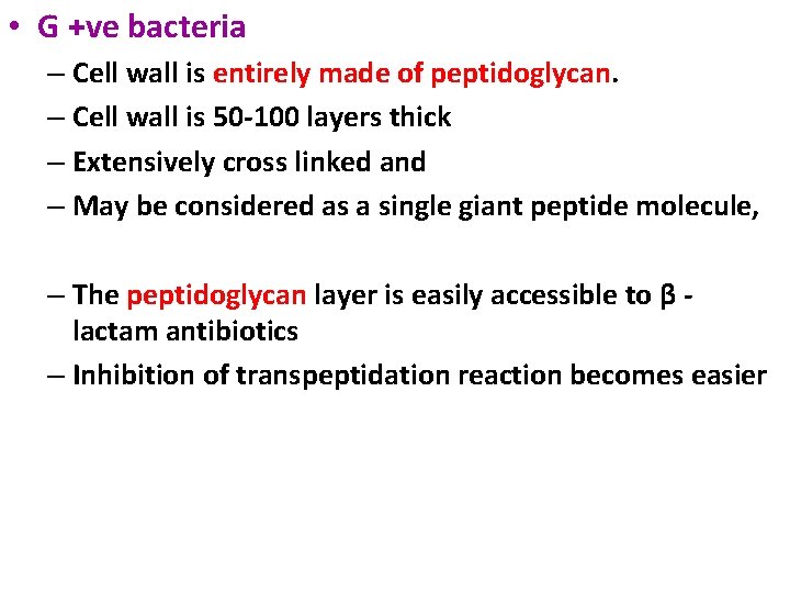  • G +ve bacteria – Cell wall is entirely made of peptidoglycan. –