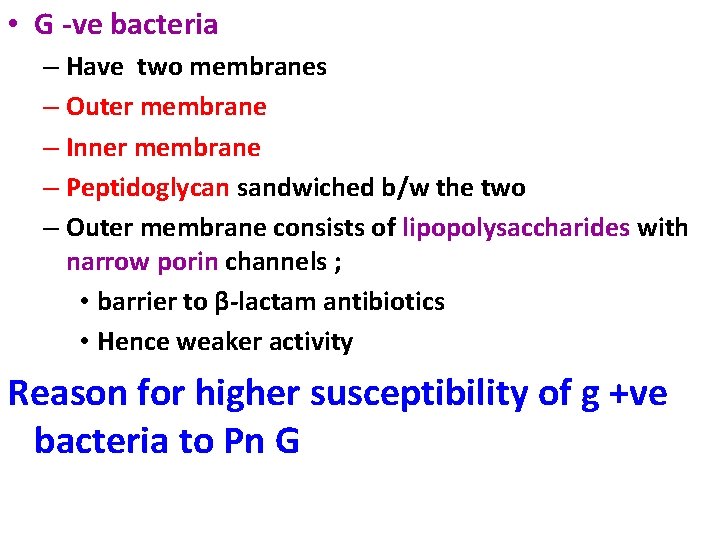  • G -ve bacteria – Have two membranes – Outer membrane – Inner
