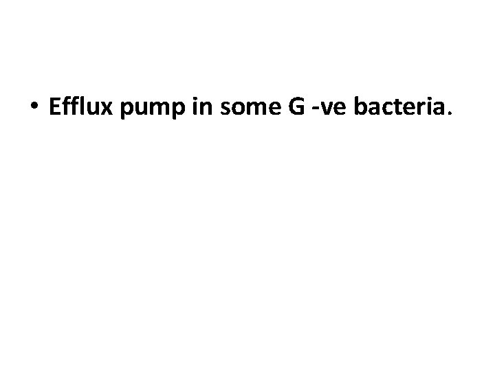  • Efflux pump in some G -ve bacteria. 