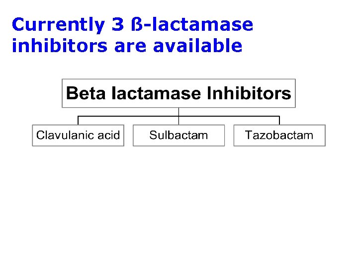 Currently 3 ß-lactamase inhibitors are available 