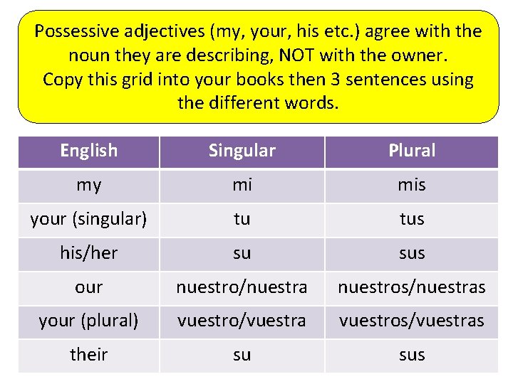 Possessive adjectives (my, your, his etc. ) agree with the noun they are describing,