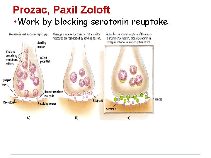 Prozac, Paxil Zoloft • Work by blocking serotonin reuptake. 