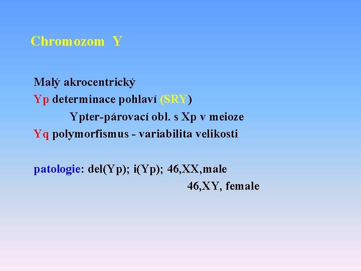 Chromozom Y Malý akrocentrický Yp determinace pohlaví (SRY) Ypter-párovací obl. s Xp v meioze