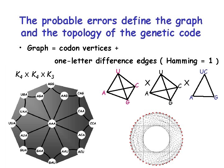 The probable errors define the graph and the topology of the genetic code •