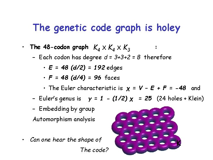 The genetic code graph is holey • The 48 -codon graph K 4 X