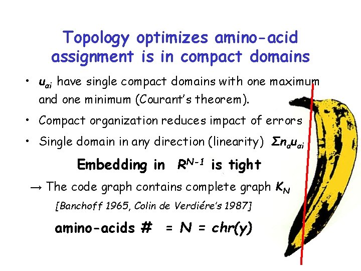 Topology optimizes amino-acid assignment is in compact domains • uαi have single compact domains