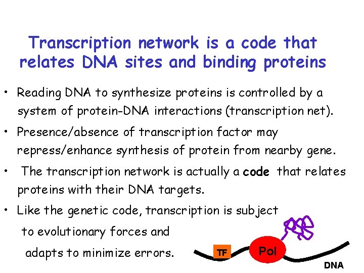 Transcription network is a code that relates DNA sites and binding proteins • Reading