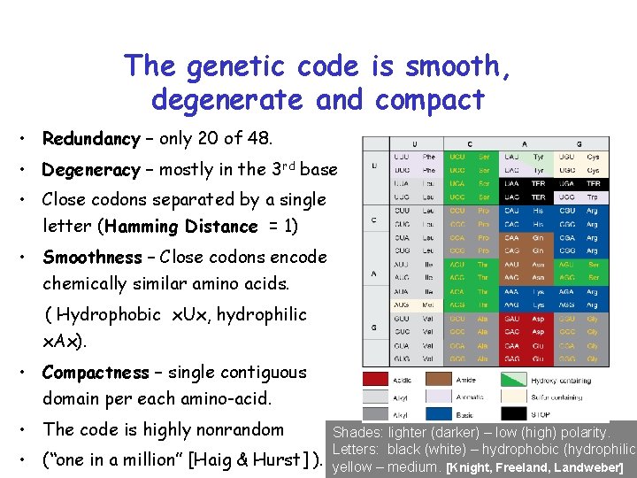 The genetic code is smooth, degenerate and compact • Redundancy – only 20 of