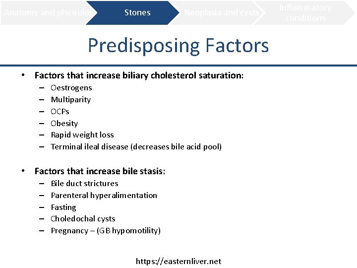 Anatomy and physiology Stones Neoplasia and cysts Predisposing Factors • Factors that increase biliary