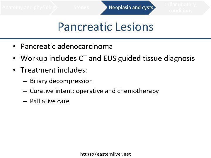 Anatomy and physiology Stones Neoplasia and cysts Inflammatory conditions Pancreatic Lesions • Pancreatic adenocarcinoma