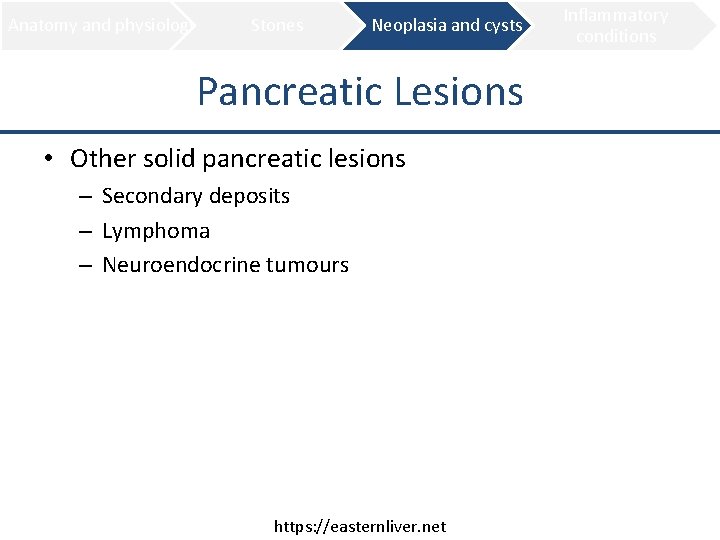 Anatomy and physiology Stones Neoplasia and cysts Pancreatic Lesions • Other solid pancreatic lesions