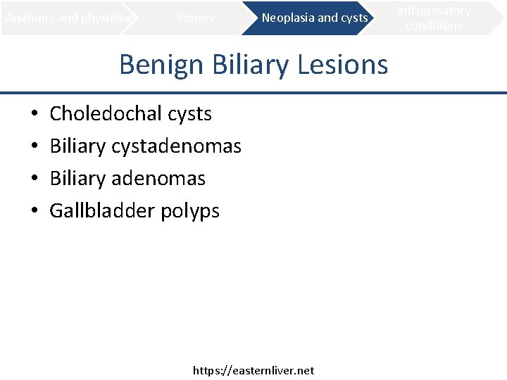 Anatomy and physiology Stones Neoplasia and cysts Benign Biliary Lesions • • Choledochal cysts