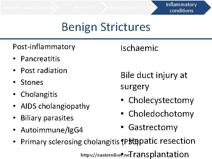 Anatomy and physiology Stones Neoplasia and cysts Inflammatory conditions Benign Strictures Post-inflammatory Ischaemic •