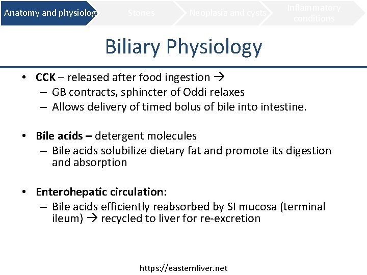 Anatomy and physiology Stones Neoplasia and cysts Inflammatory conditions Biliary Physiology • CCK –