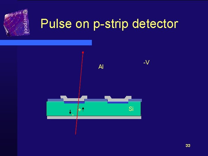 Pulse on p-strip detector -V Al - + Si 33 