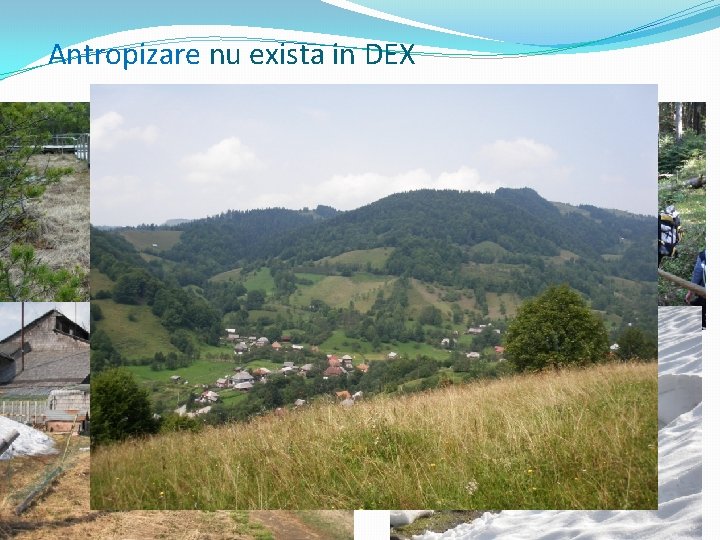 Antropizare nu exista in DEX 